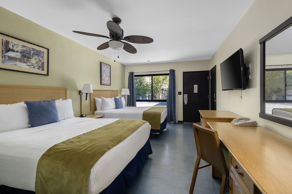 Caliente Tropics Hotel - photo 25