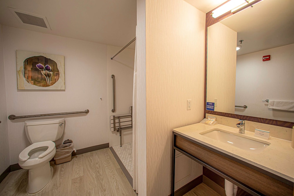 Hilton Garden Inn Rapid City - photo 48