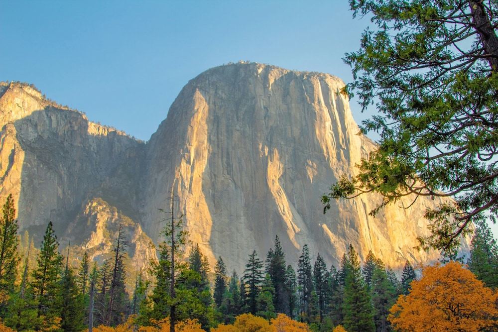 Under Canvas Yosemite - photo 19