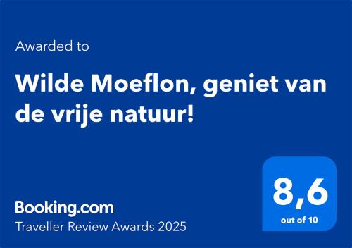 Wilde Moeflon geniet van de vrije natuur in Otterlo, Netherlands