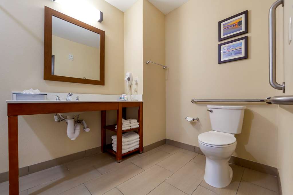 Comfort Suites La Vista Omaha - photo 10