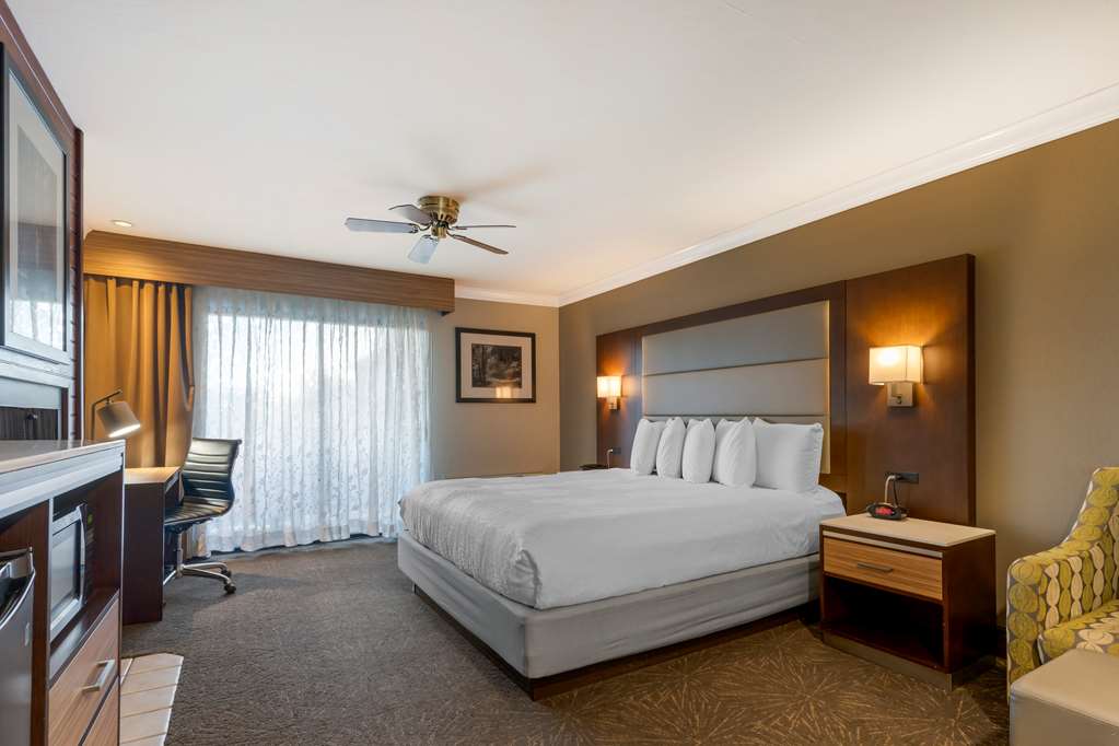 Best Western Plus Forest Park Inn - photo 43