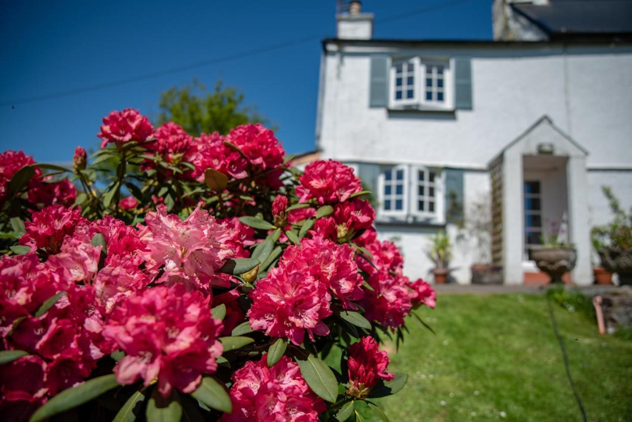 Brentor Self Catering — 4-Star Luxury Hotel in Lifton, United Kingdom