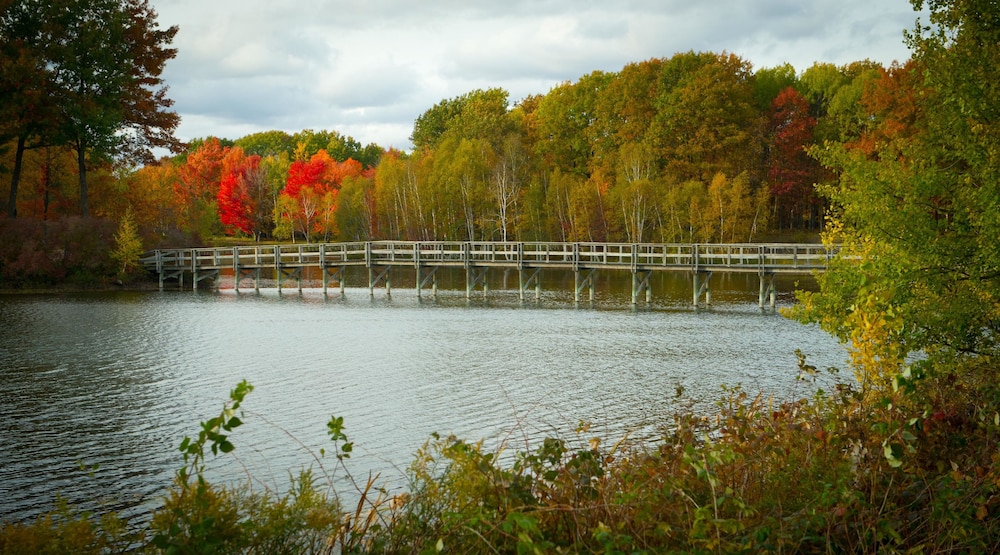 The Loon - photo 11