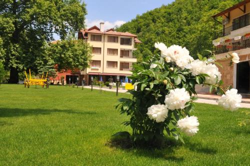 Family Hotel Delta in Garmen, Bulgaria