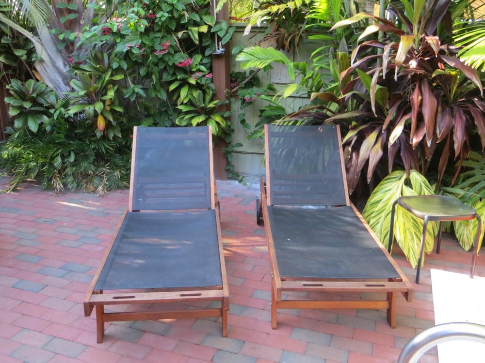 Travelers Palm - photo 12