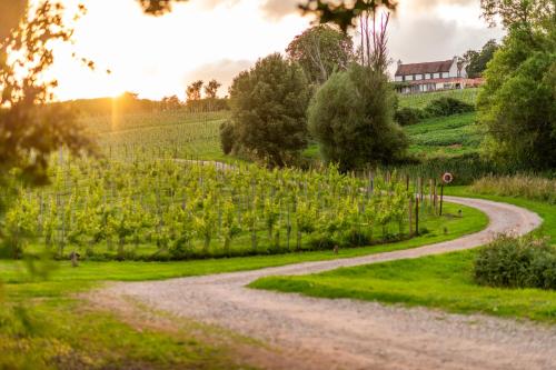 Three Choirs Vineyards — hotel in Newent