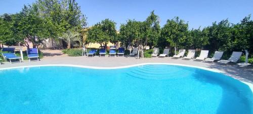 aranceto dell’Etna in Mascali, Italy