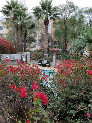 Desert Rose Villas Private One Bedroom in Old Town Scottsdale — 4-Star Luxury Hotel in Scottsdale, United States