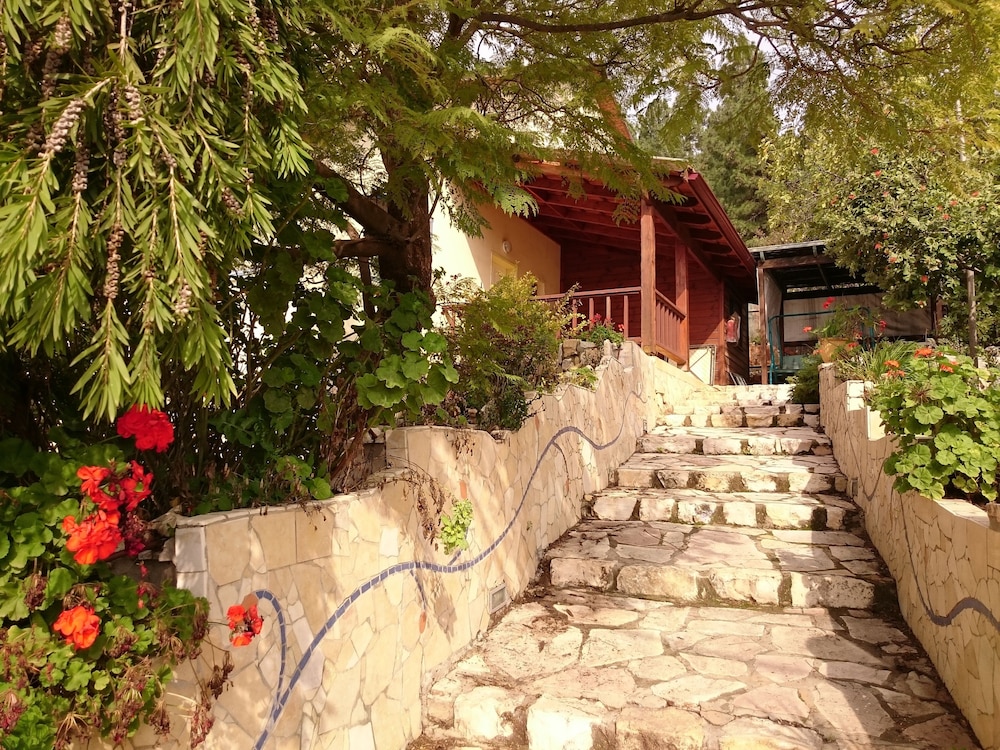 Dream Time in Safed, Israel