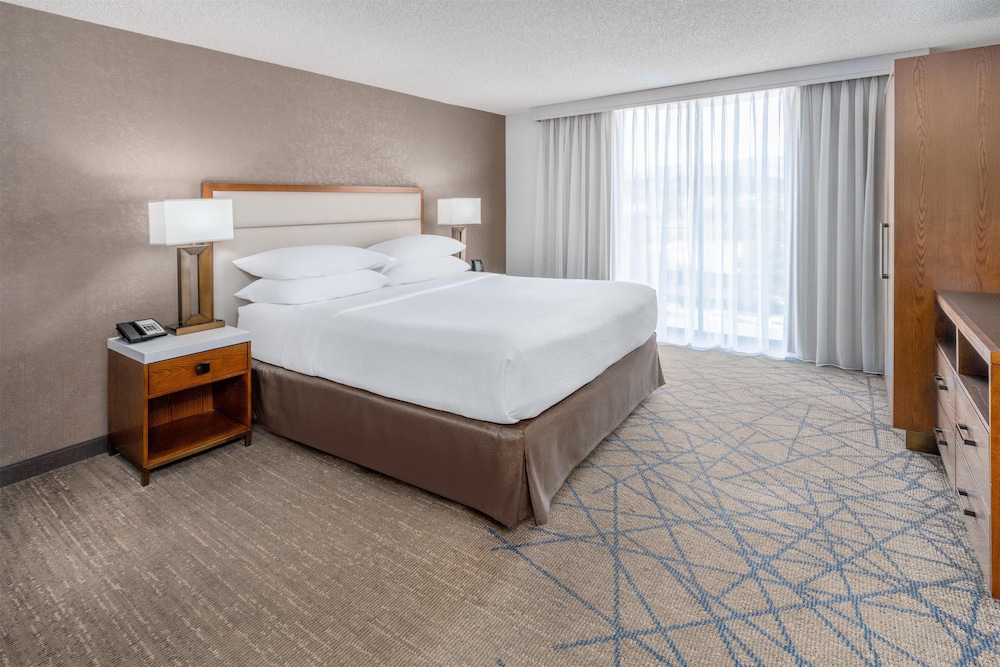 Embassy Suites by Hilton Colorado Springs - photo 40