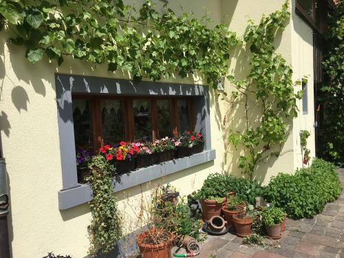 Ferienhaus mit Naturgarten - last minute hotel in Dachsen