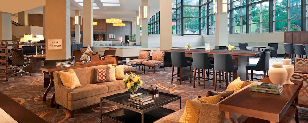 The Stamford Hotel - photo 3