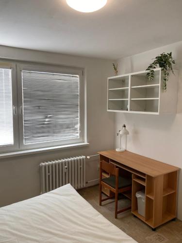 Cozy bright room with free parking — Bratislava — photo 2