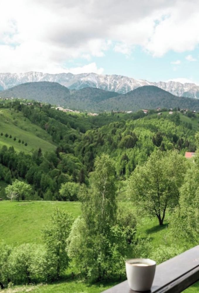 Akasha Retreat in Moieciu De Jos, Romania
