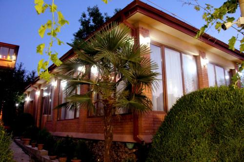 Kolkhis Ezo in Unknown City, Georgia