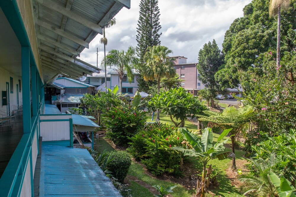 Wild Ginger Inn Hotel - photo 31