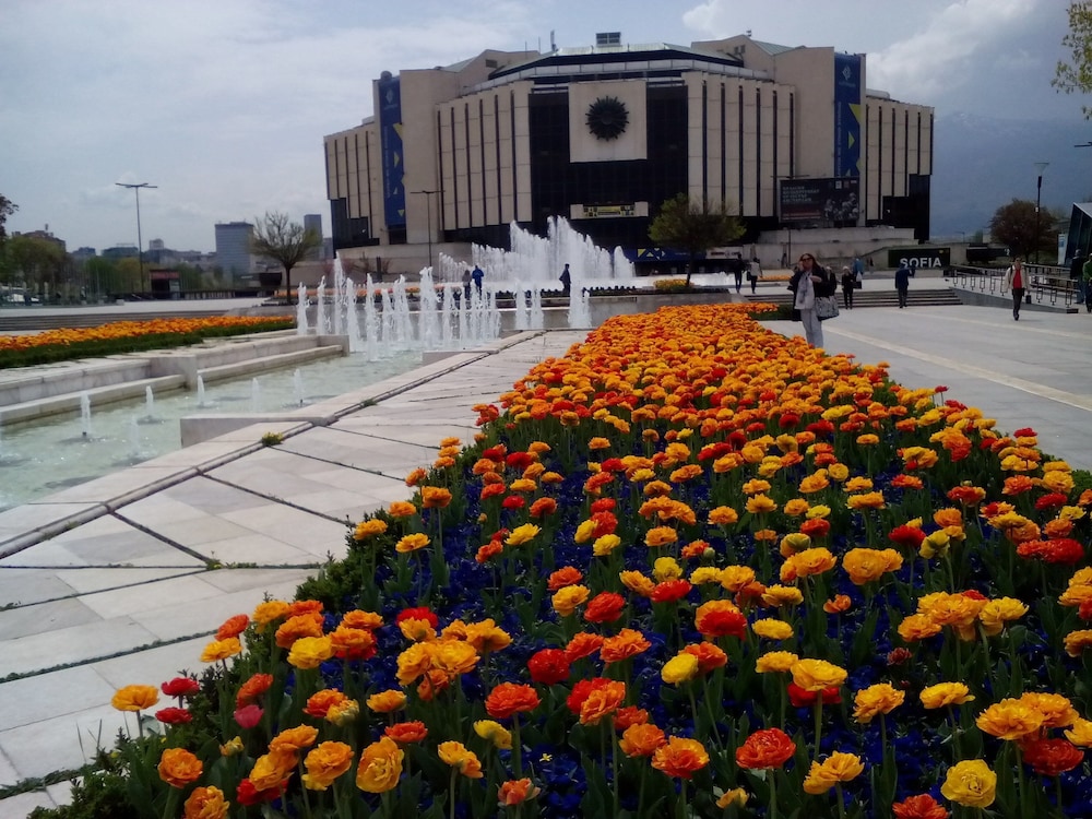 Noi parliamo italiano - carbon neutral hotel in Sofia