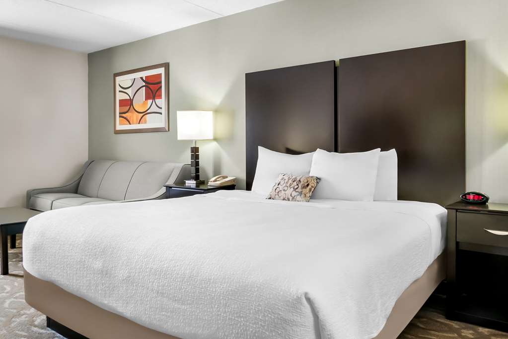 Best Western Okemos East Lansing Hotel & Suites - photo 23
