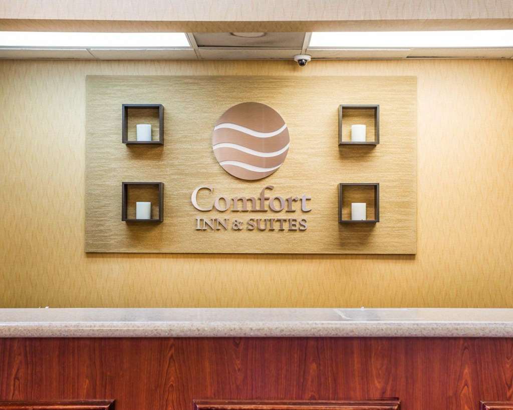 Comfort Inn & Suites at Stone Mountain - photo 8