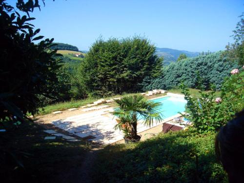 Cadre Paradisiaque — Saint Pierre La Palud