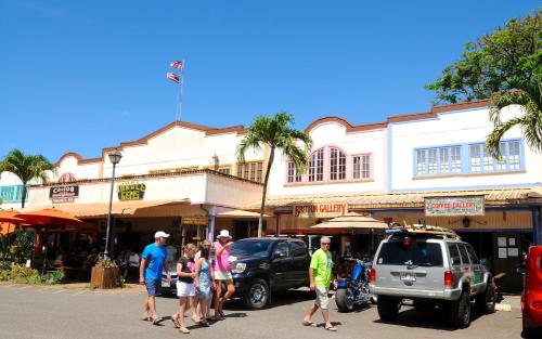 Kalani Hawaii Private Lodging - photo 59