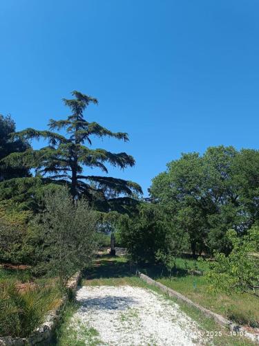 Villetta In Campagna Alberobello — Castellana