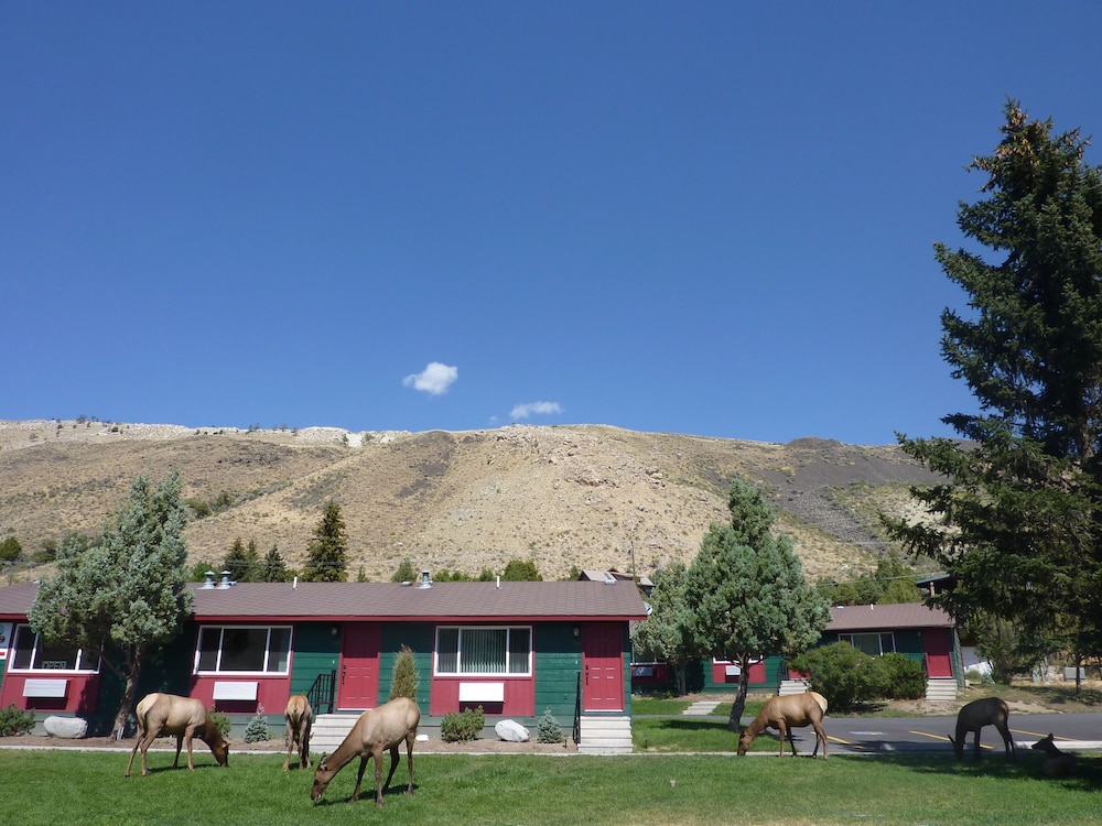 Yellowstone Gateway Inn - photo 116