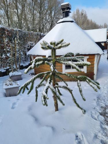 Maison de maitre logement entier hot tub jacuzy — Sainte-Ode — photo 3
