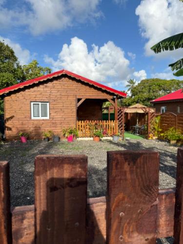 Eden hibiscus in Petit-Canal, Guadeloupe