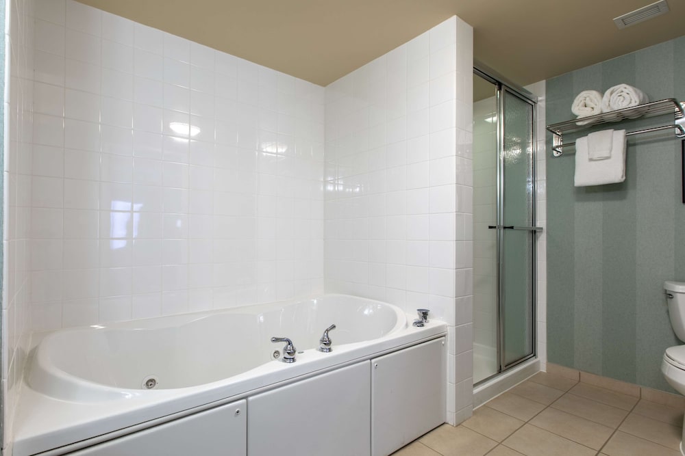 Hilton Garden Inn Lynchburg - photo 28
