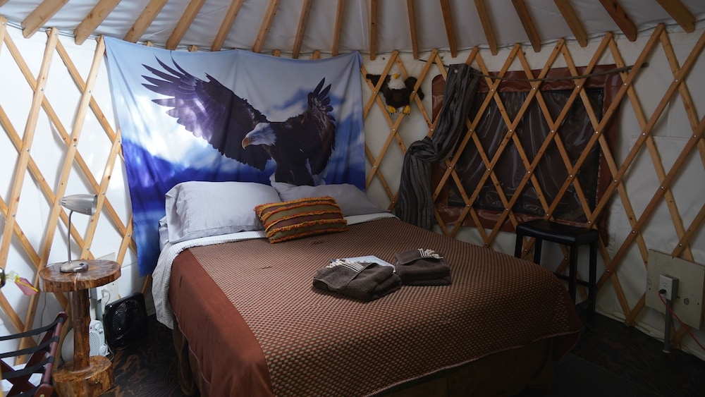 Nauti Otter Inn - photo 30
