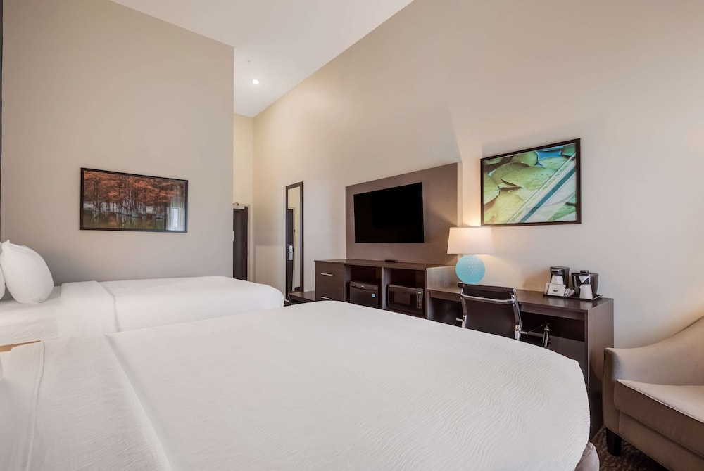 La Quinta Inn & Suites by Wyndham Sulphur - photo 6