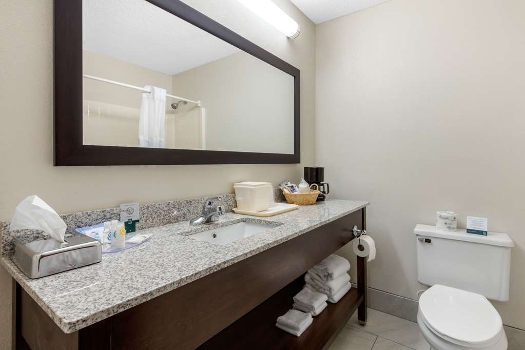 Quality Inn & Suites Mountain Home North - photo 29