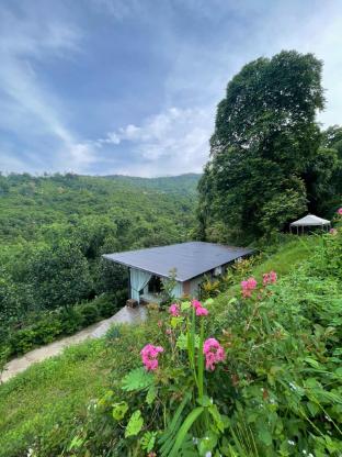 Path Hill - carbon neutral hotel in Unknown City