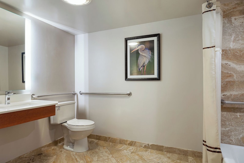 The Atlantic Suites on the Ave - photo 30