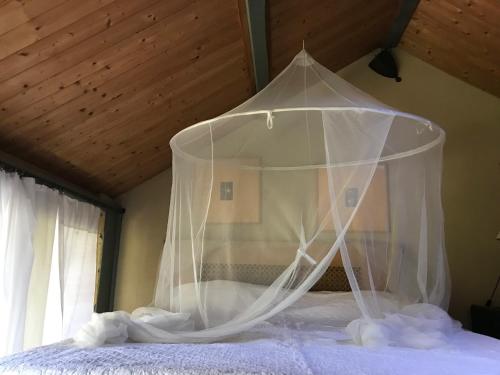 La verrière in Arles, France