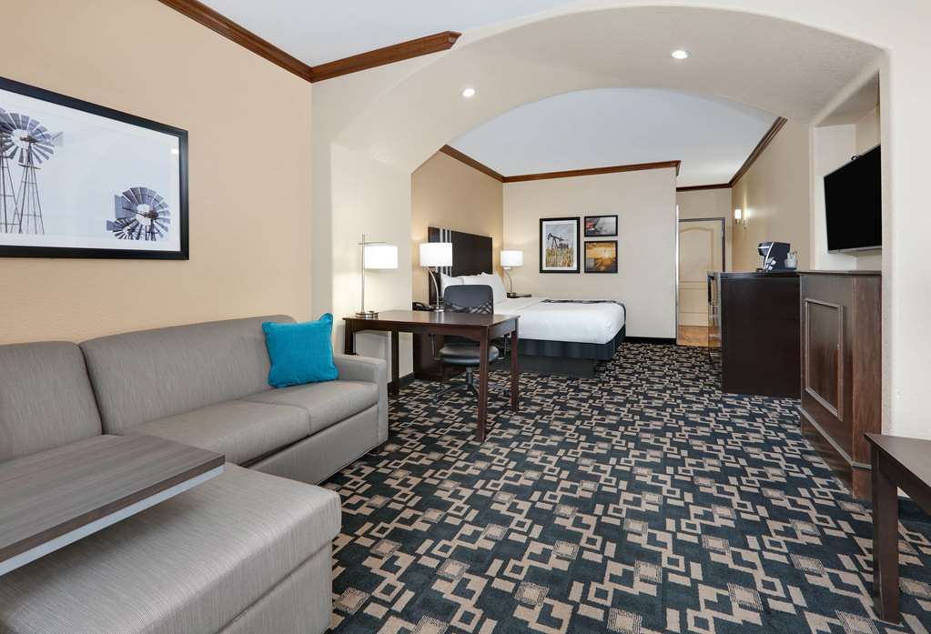 La Quinta Inn & Suites by Wyndham Big Spring - photo 23