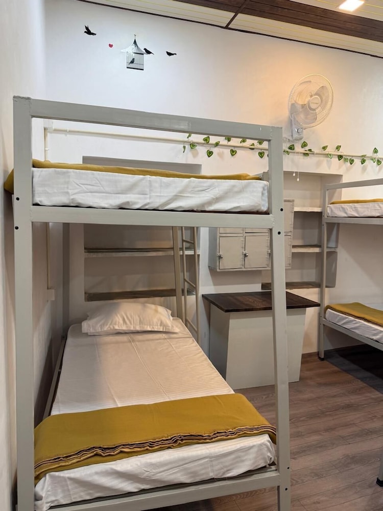 Orama Stays Dormitory — Udaipur — photo 5