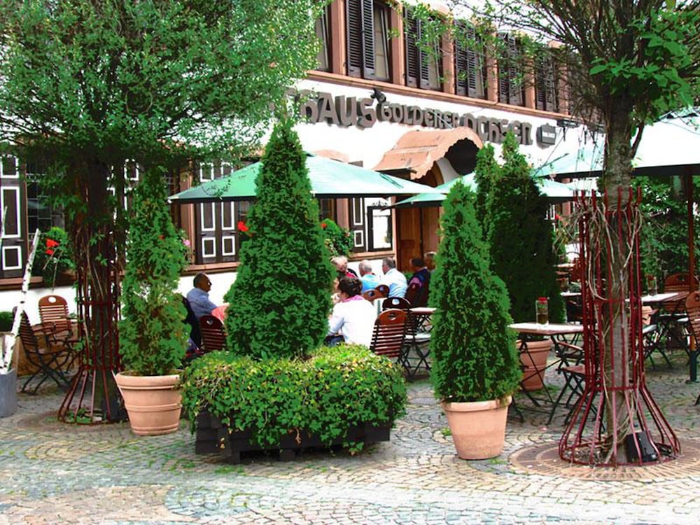 Hotel zum Goldenen Ochsen — hotel in Maikammer