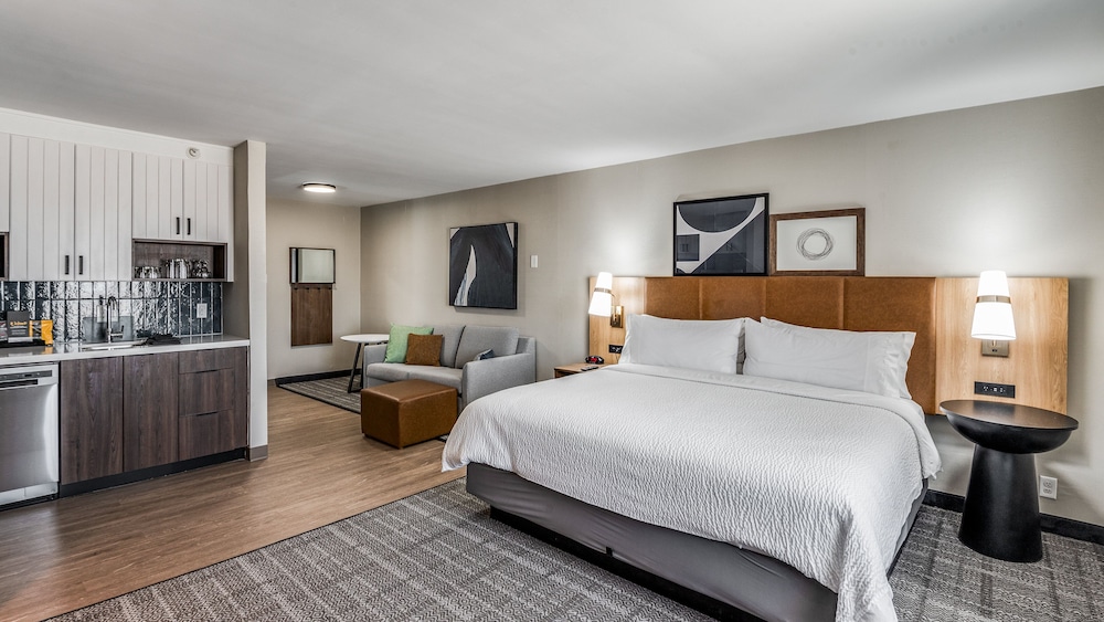 Staybridge Suites Dallas Market Ctr Love Field by IHG - photo 18