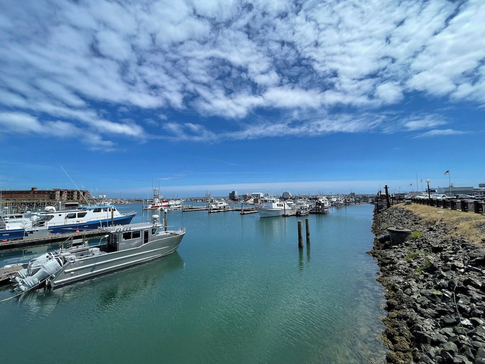 Westport Marina Cottages - photo 86