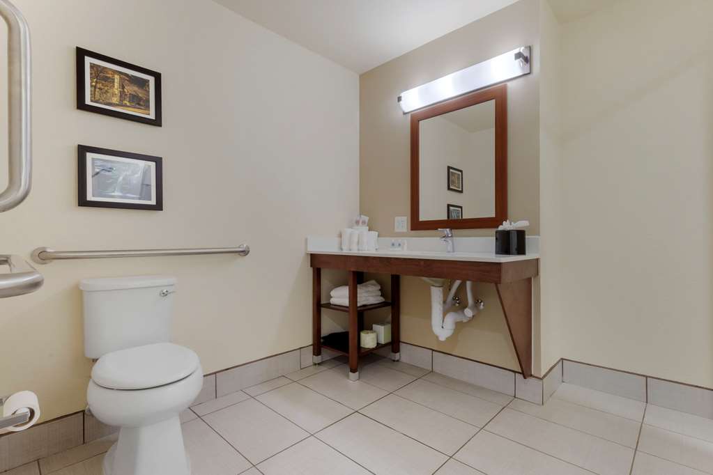 Comfort Suites Piedmont Greenville South - photo 17
