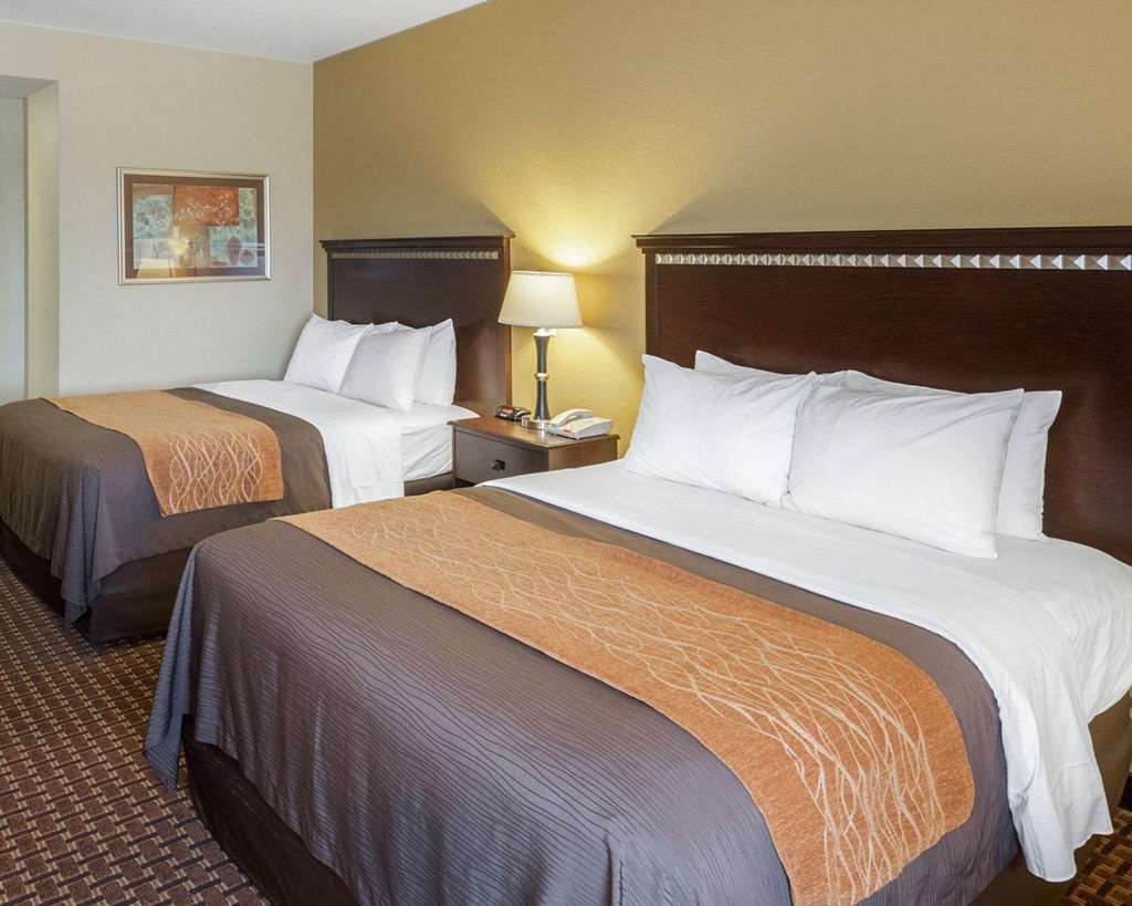 Comfort Inn & Suites Regional Medical Center - photo 8