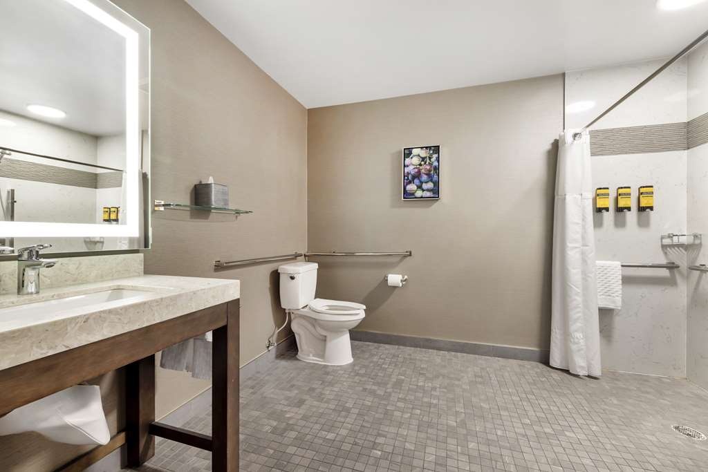 Best Western Plus Temecula Wine Country Hotel &Suites - photo 32