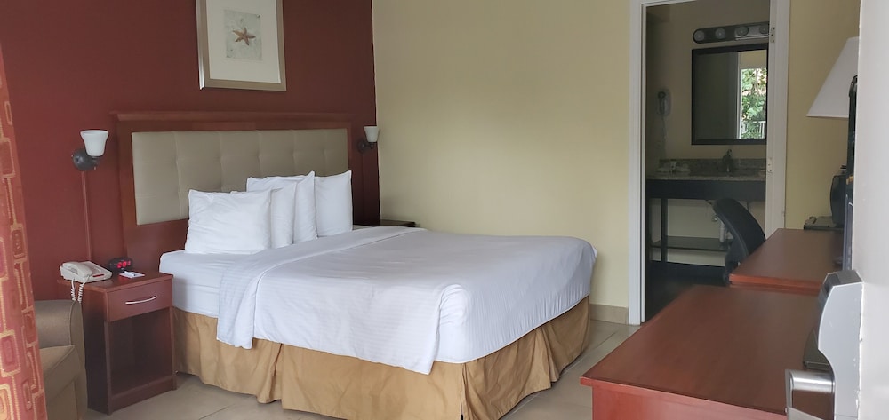Clearwater Beach Hotel - photo 7