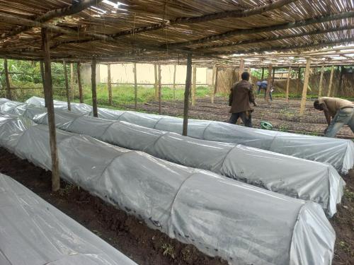 Muga Eco Village in Ntungamo, Republic of Uganda