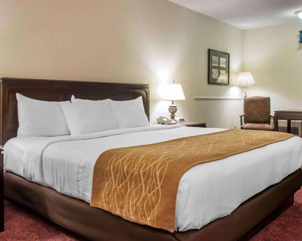 Canberra Premiere Comfort Hotel - photo 11