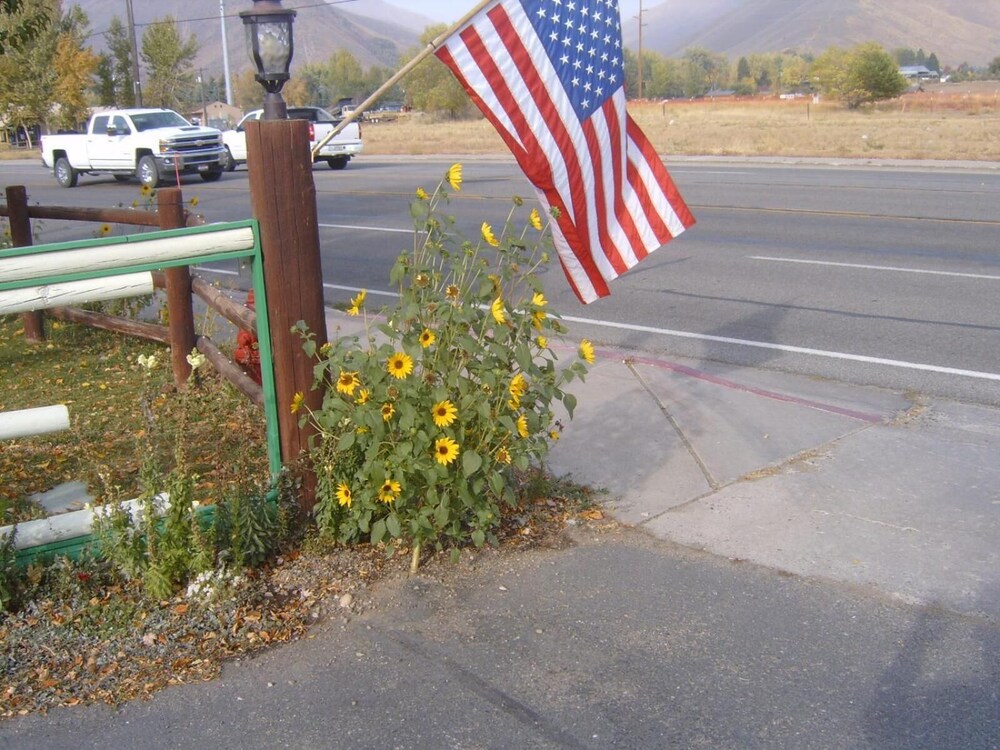 Bellevue High Country Motel - photo 31