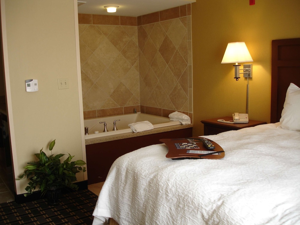 Hampton Inn & Suites Columbia at University - photo 18